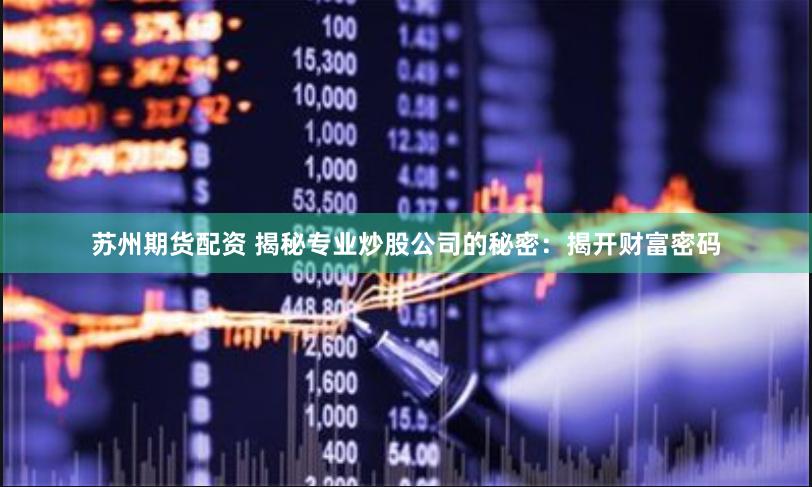 苏州期货配资 揭秘专业炒股公司的秘密：揭开财富密码