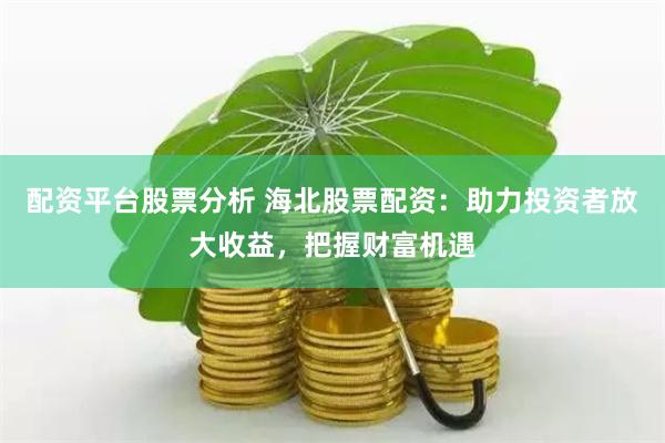 配资平台股票分析 海北股票配资：助力投资者放大收益，把握财富机遇