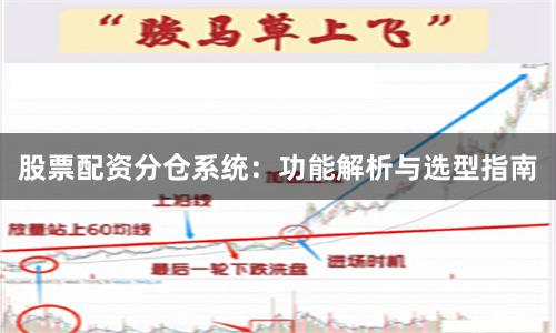 股票配资分仓系统：功能解析与选型指南