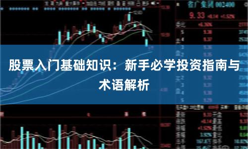 股票入门基础知识：新手必学投资指南与术语解析