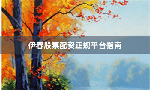 伊春股票配资正规平台指南